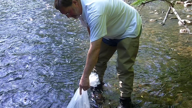 Tempering the fish