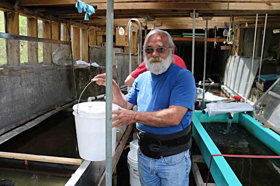 Bill assisting Camden Middle School students stock they raised in the classroom