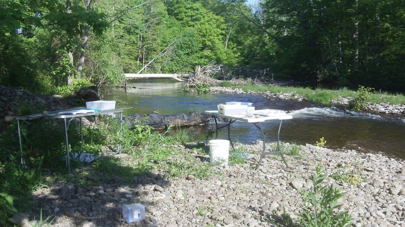 Classroom on the river