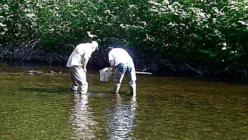 Jim and Bill collecting invertebrates