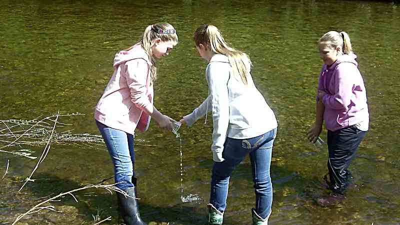 Students stocking salmon and brook trout