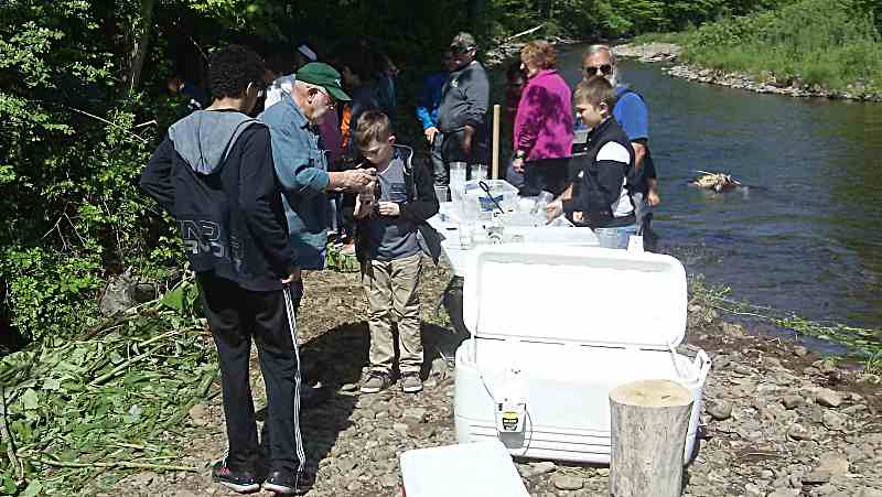 Paul Miller showing invertebrates