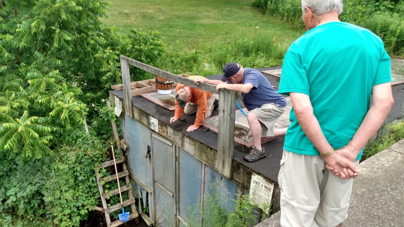 Inspection of the roof