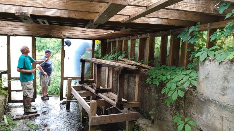 Inspection of the hatchery