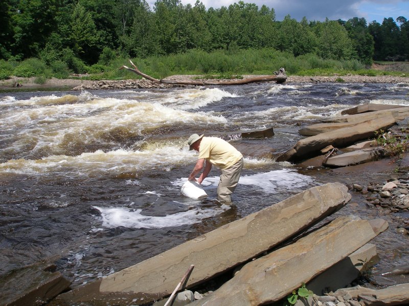 Stocking fish