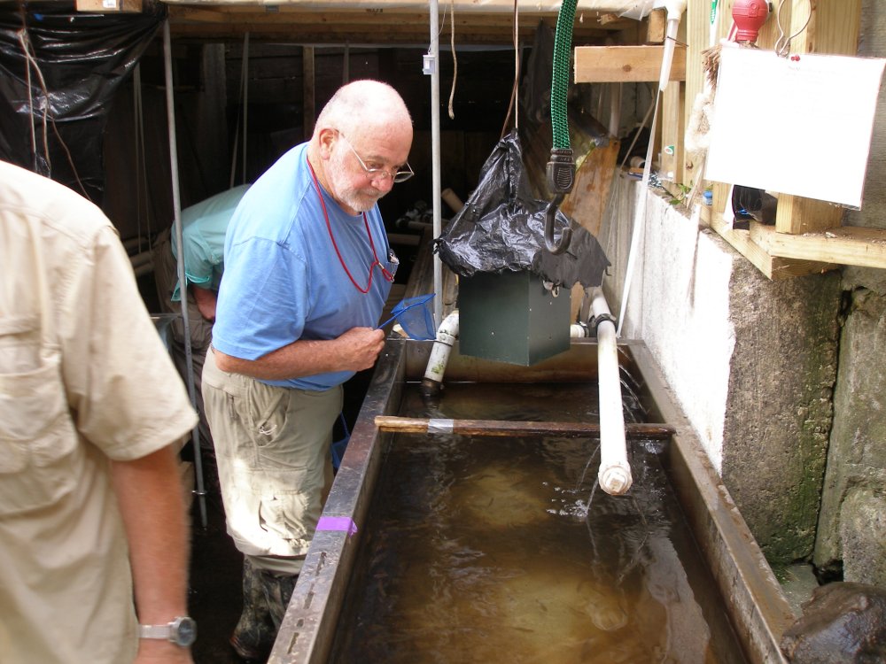 Paul Miller cleaning the fish tank