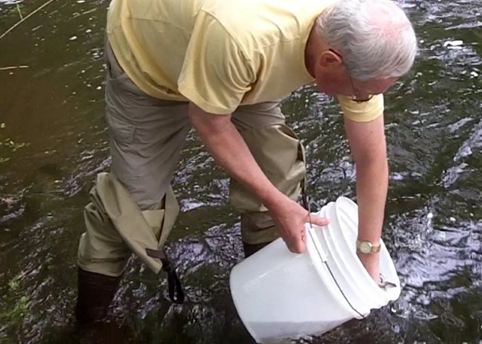 Dick Kirby stocking Atlantic salmon