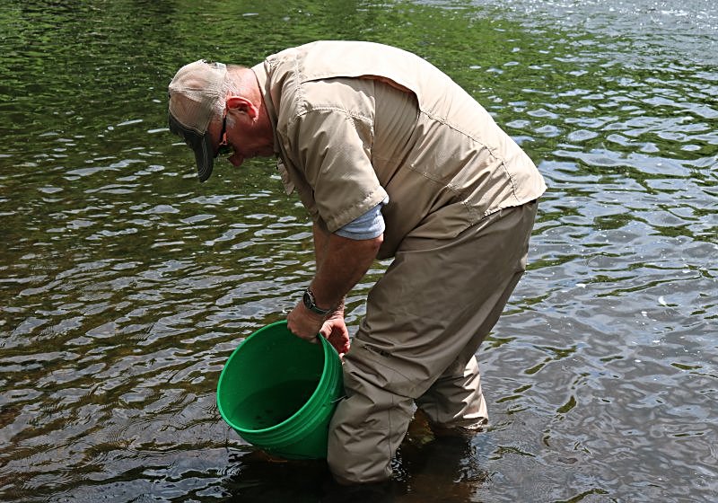 Jim stocking salmon