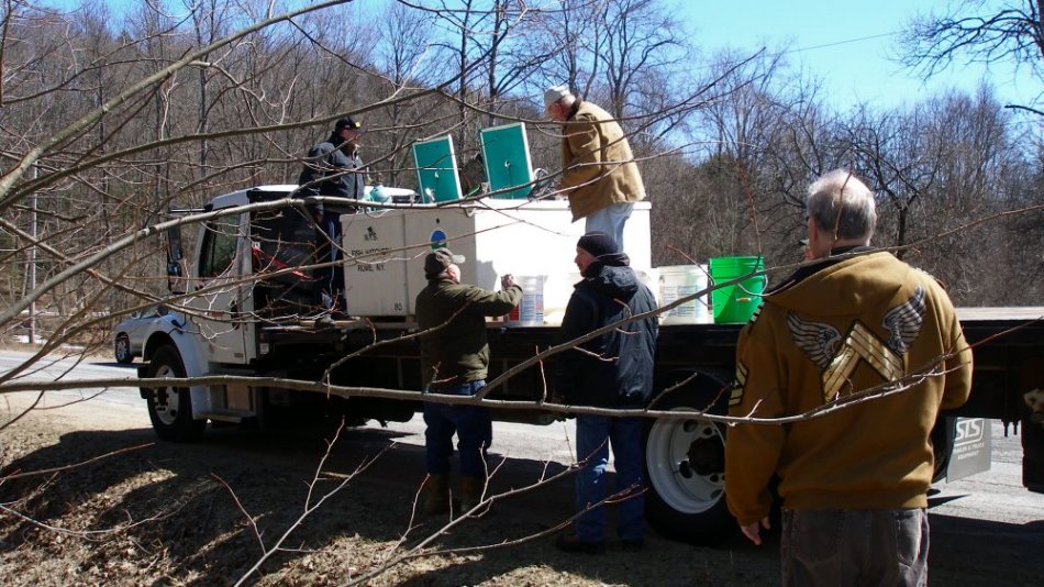 fish placed in pails