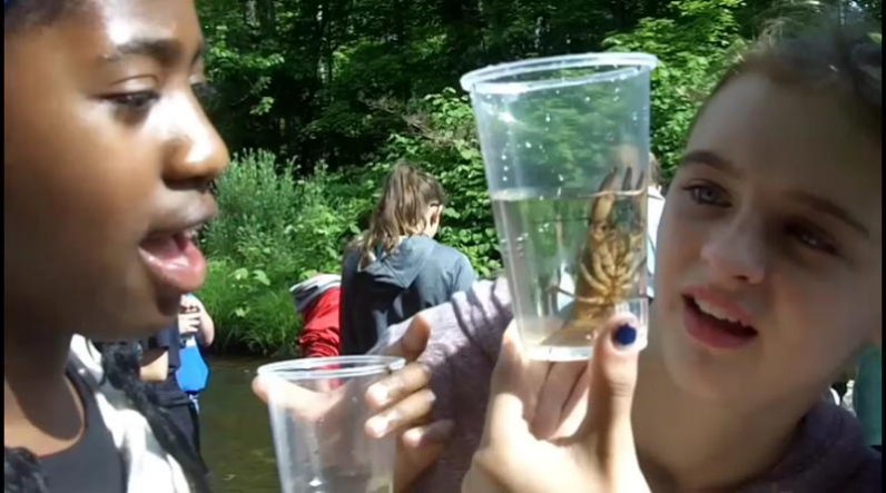 Students and crayfish