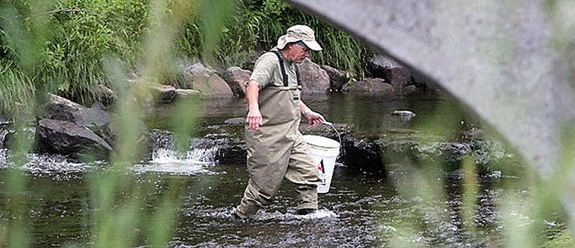 Stocking Atlantic salmon 2010