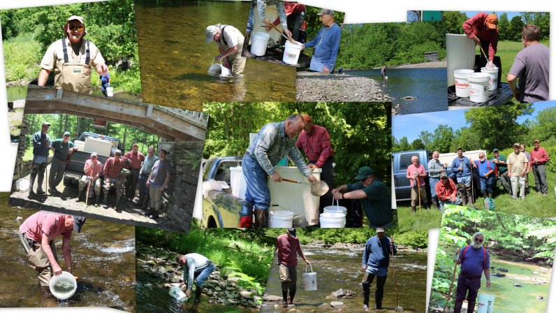 collage of workers