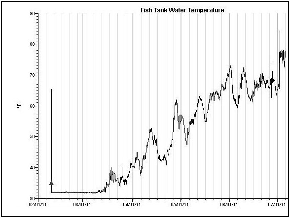 Water Temperature